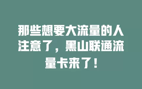 那些想要大流量的人注意了，黑山联通流量卡来了！