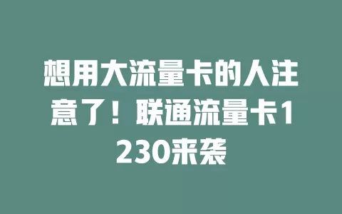 想用大流量卡的人注意了！联通流量卡1230来袭