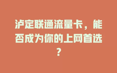 泸定联通流量卡，能否成为你的上网首选？