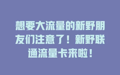 想要大流量的新野朋友们注意了！新野联通流量卡来啦！