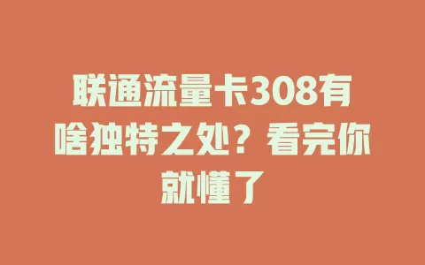 联通流量卡308有啥独特之处？看完你就懂了