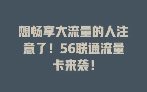 想畅享大流量的人注意了！56联通流量卡来袭！