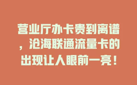 营业厅办卡贵到离谱，沧海联通流量卡的出现让人眼前一亮！