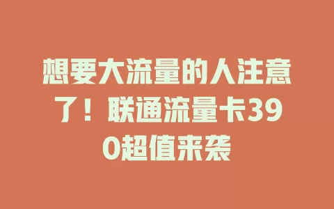 想要大流量的人注意了！联通流量卡390超值来袭