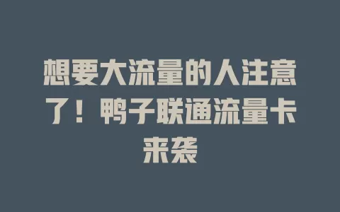 想要大流量的人注意了！鸭子联通流量卡来袭