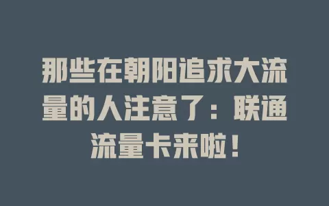 那些在朝阳追求大流量的人注意了：联通流量卡来啦！