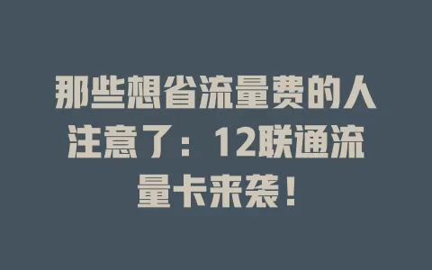 那些想省流量费的人注意了：12联通流量卡来袭！