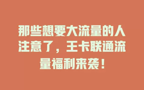 那些想要大流量的人注意了，王卡联通流量福利来袭！