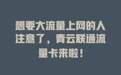 想要大流量上网的人注意了，青云联通流量卡来啦！