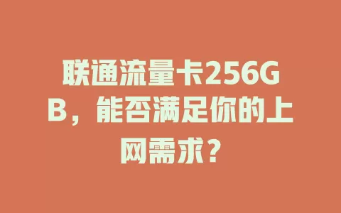 联通流量卡256GB，能否满足你的上网需求？