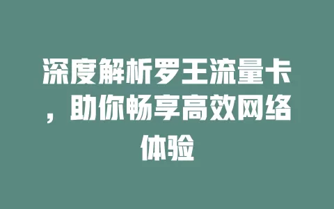 深度解析罗王流量卡，助你畅享高效网络体验