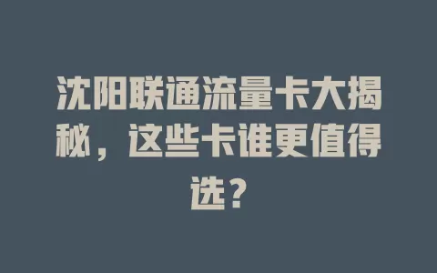 沈阳联通流量卡大揭秘，这些卡谁更值得选？