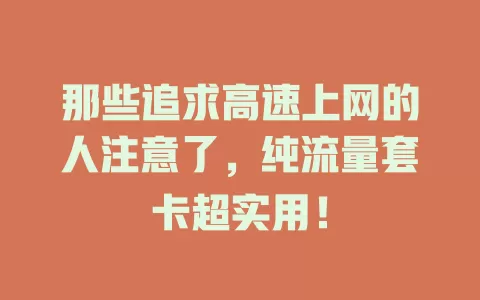 那些追求高速上网的人注意了，纯流量套卡超实用！