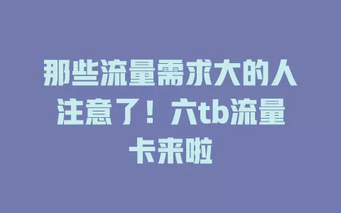 那些流量需求大的人注意了！六tb流量卡来啦