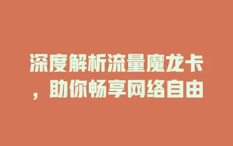 深度解析流量魔龙卡，助你畅享网络自由