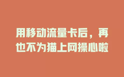 用移动流量卡后，再也不为猫上网操心啦