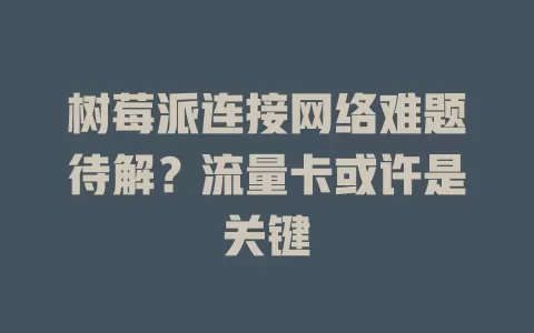 树莓派连接网络难题待解？流量卡或许是关键