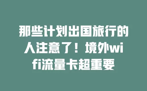 那些计划出国旅行的人注意了！境外wifi流量卡超重要