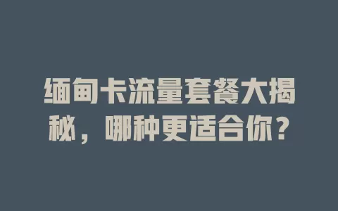 缅甸卡流量套餐大揭秘，哪种更适合你？