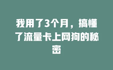 我用了3个月，搞懂了流量卡上网狗的秘密