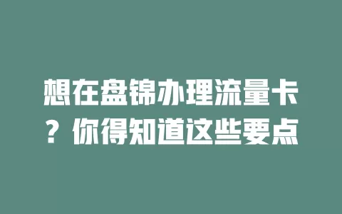 想在盘锦办理流量卡？你得知道这些要点
