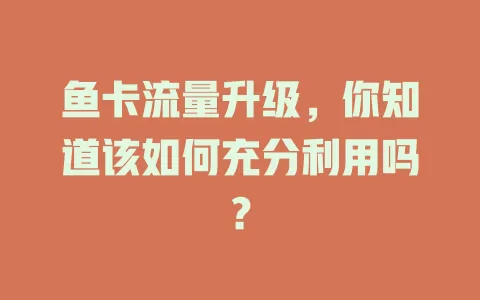 鱼卡流量升级，你知道该如何充分利用吗？