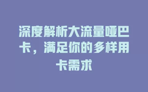 深度解析大流量哑巴卡，满足你的多样用卡需求