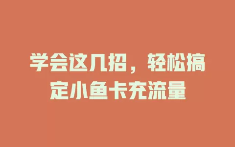 学会这几招，轻松搞定小鱼卡充流量