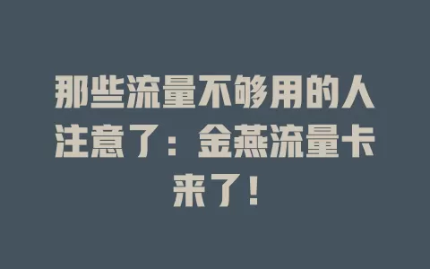 那些流量不够用的人注意了：金燕流量卡来了！