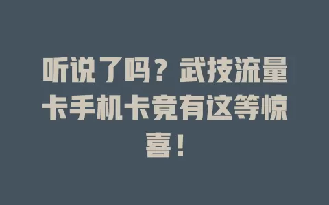 听说了吗？武技流量卡手机卡竟有这等惊喜！