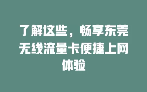 了解这些，畅享东莞无线流量卡便捷上网体验