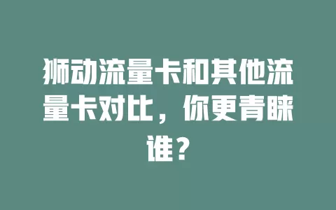 狮动流量卡和其他流量卡对比，你更青睐谁？