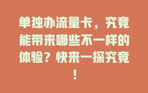 单独办流量卡，究竟能带来哪些不一样的体验？快来一探究竟！