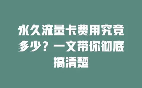 永久流量卡费用究竟多少？一文带你彻底搞清楚