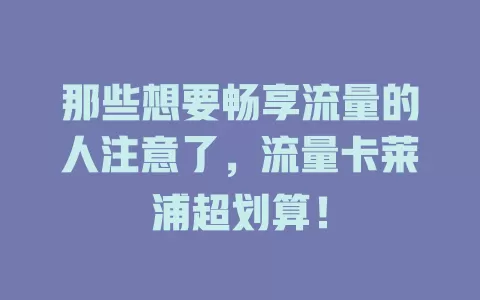那些想要畅享流量的人注意了，流量卡莱浦超划算！