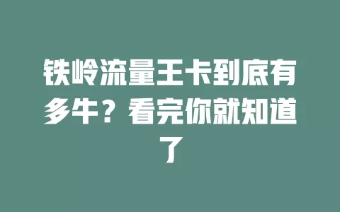 铁岭流量王卡到底有多牛？看完你就知道了