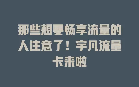 那些想要畅享流量的人注意了！宇凡流量卡来啦