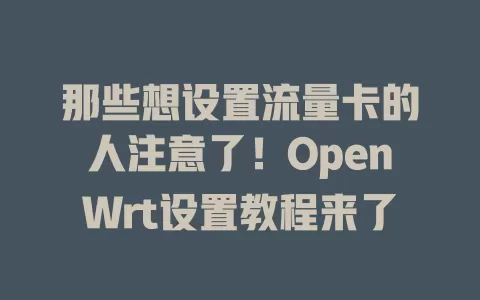 那些想设置流量卡的人注意了！OpenWrt设置教程来了