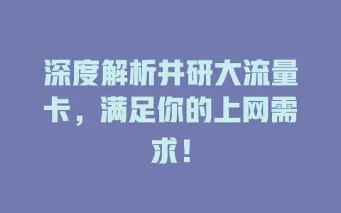 深度解析井研大流量卡，满足你的上网需求！