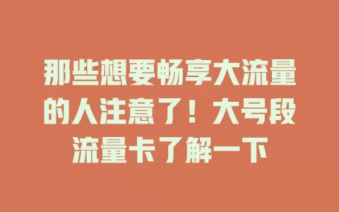 那些想要畅享大流量的人注意了！大号段流量卡了解一下