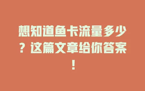 想知道鱼卡流量多少？这篇文章给你答案！