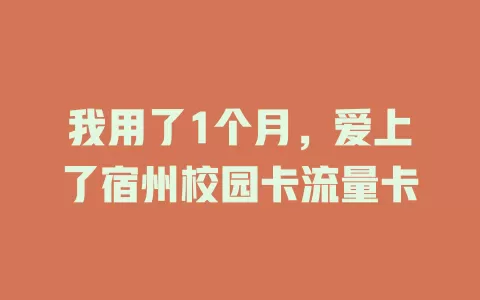 我用了1个月，爱上了宿州校园卡流量卡