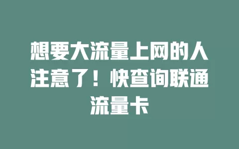 想要大流量上网的人注意了！快查询联通流量卡