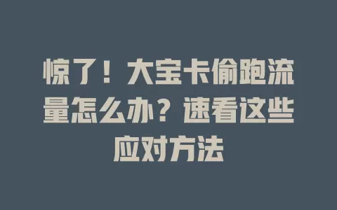 惊了！大宝卡偷跑流量怎么办？速看这些应对方法