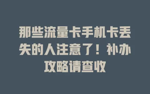 那些流量卡手机卡丢失的人注意了！补办攻略请查收
