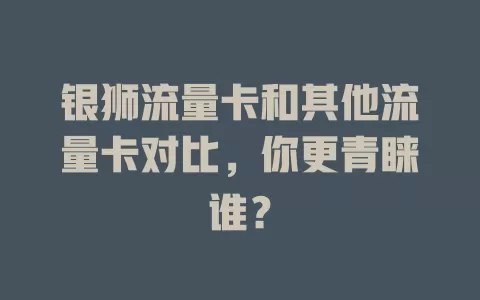 银狮流量卡和其他流量卡对比，你更青睐谁？