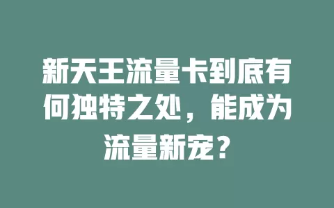 新天王流量卡到底有何独特之处，能成为流量新宠？