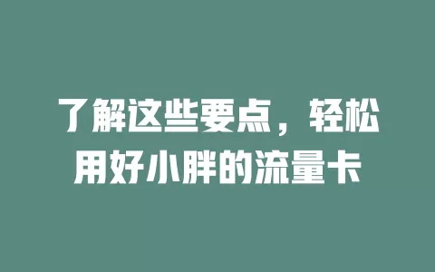 了解这些要点，轻松用好小胖的流量卡