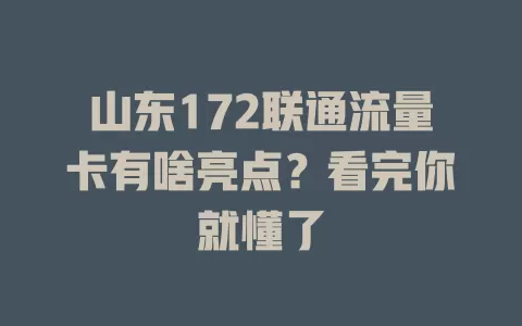山东172联通流量卡有啥亮点？看完你就懂了