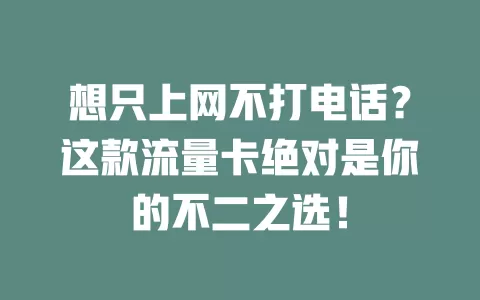想只上网不打电话？这款流量卡绝对是你的不二之选！